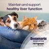 imageNutramax Laboratories Denamarin Liver Health Supplement for Small Dogs and Cats  With SAdenosylmethionine SAMe and Silybin 30 Tablets